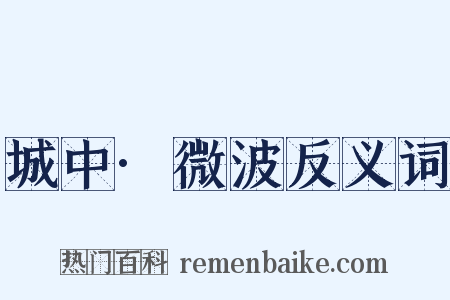 城中·微波反义词是什么意思的图片